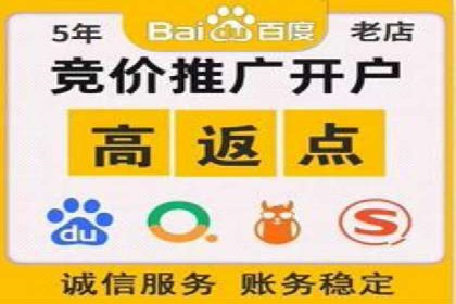 SEM托管案例分析：品牌如何快速崛起